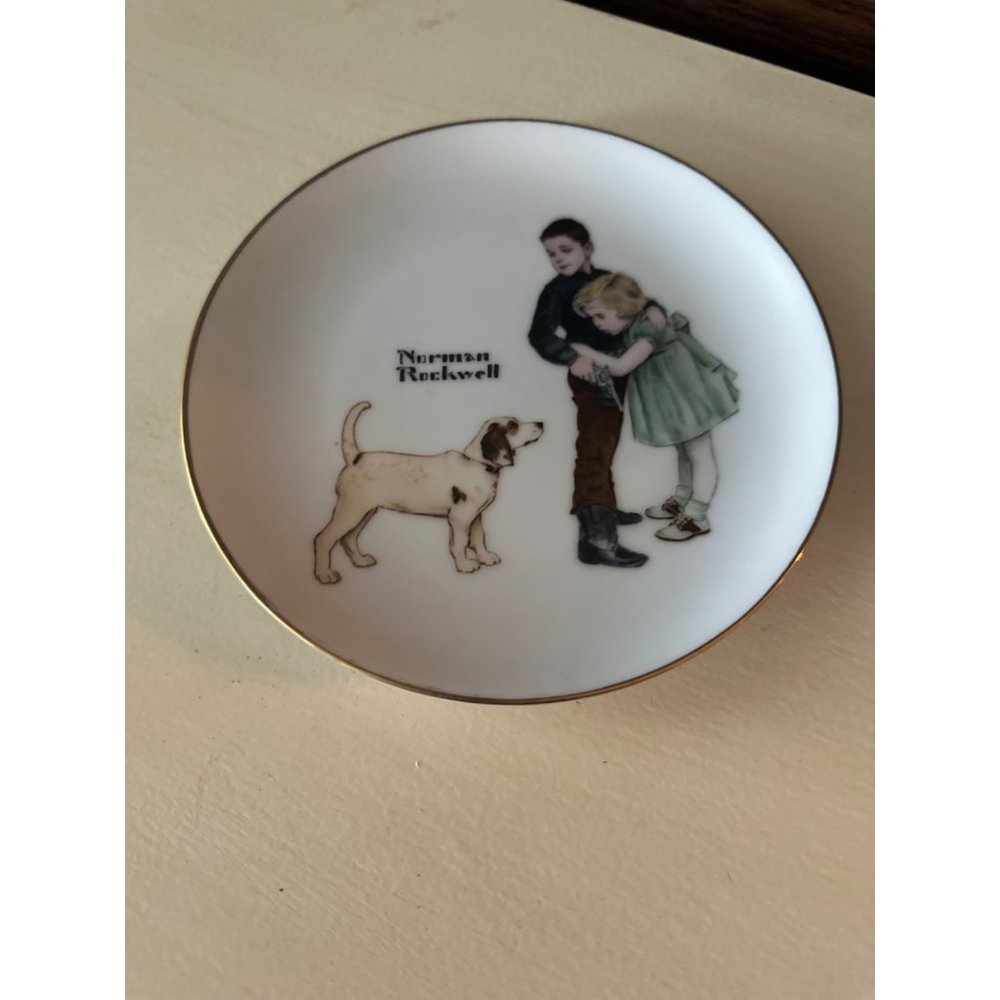 Vintage Norman Rockwell Collectors Edition BIG BROTHER  porcelain plate